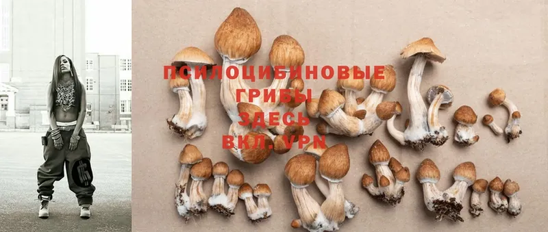 omg как войти  мориарти состав  Псилоцибиновые грибы Psilocybe  Верея 